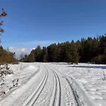 Lesna Ostoja