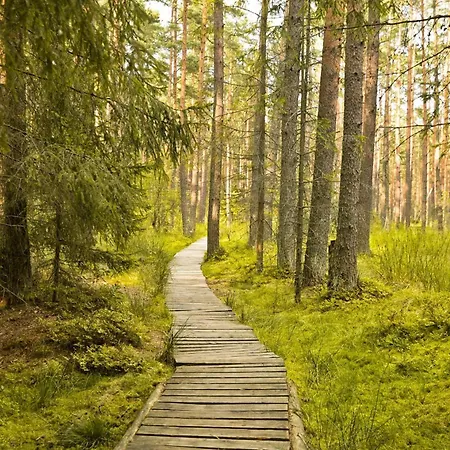 Lesna Ostoja Lägenhet