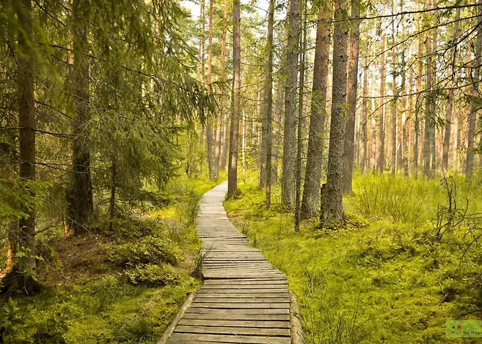 Lesna Ostoja Apartamento