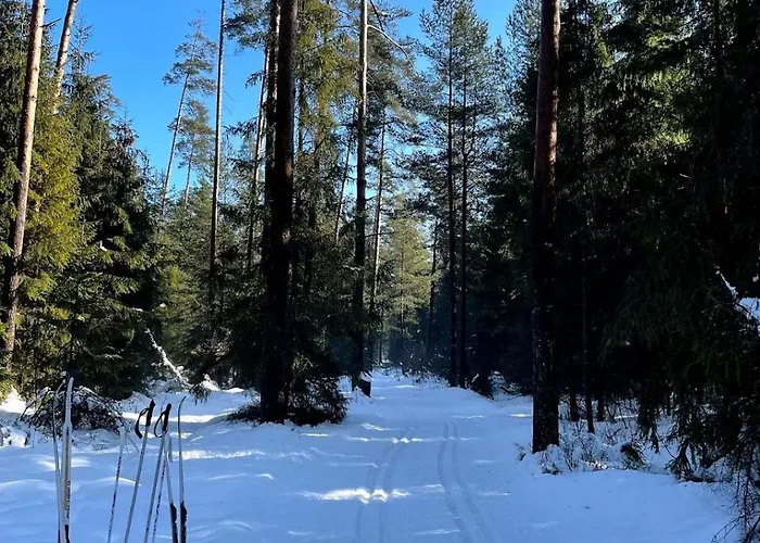 Apartamento Lesna Ostoja *